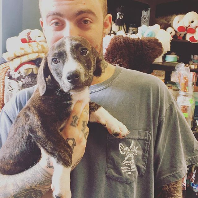  The singer recently confirmed that she had adopted Myron from late ex-boyfriend Mac Miller