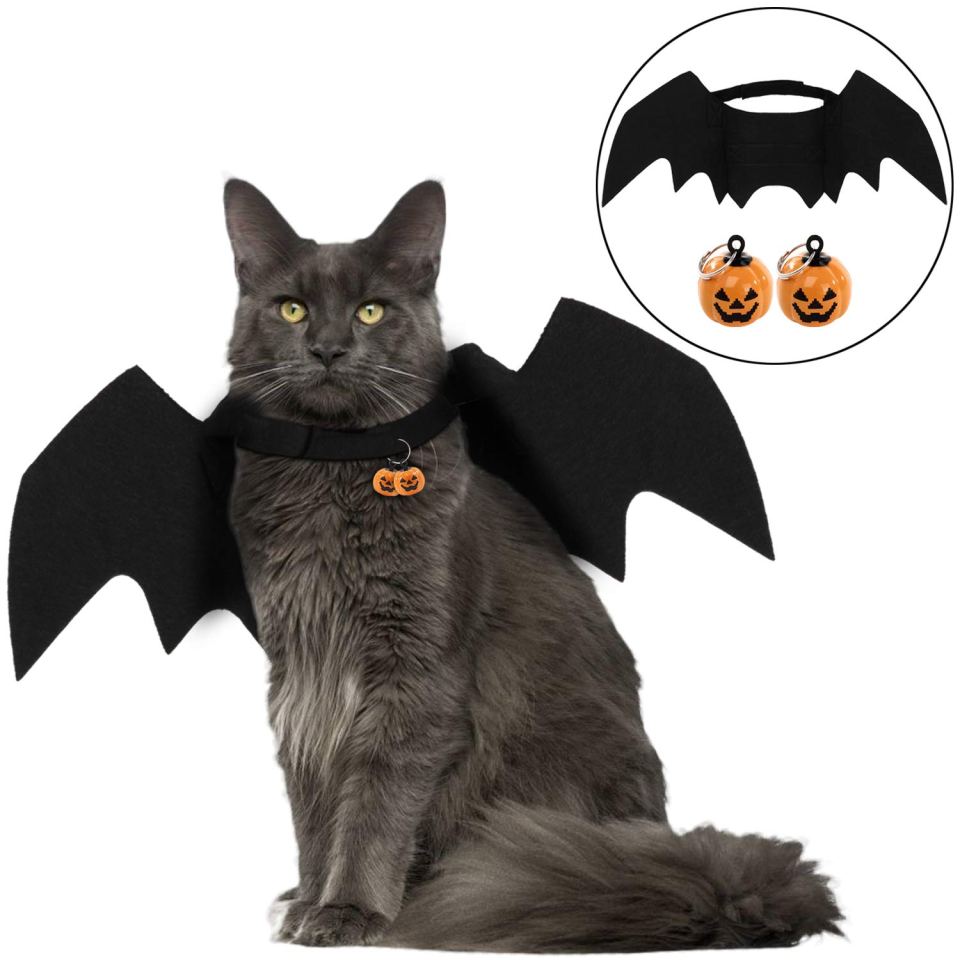  Dress your cat up in these spooky bat wings this Halloween