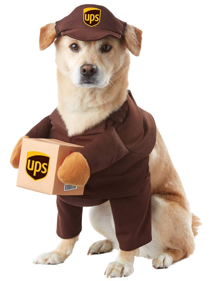  This UPS delivery pal costume is an alternative fancy dress