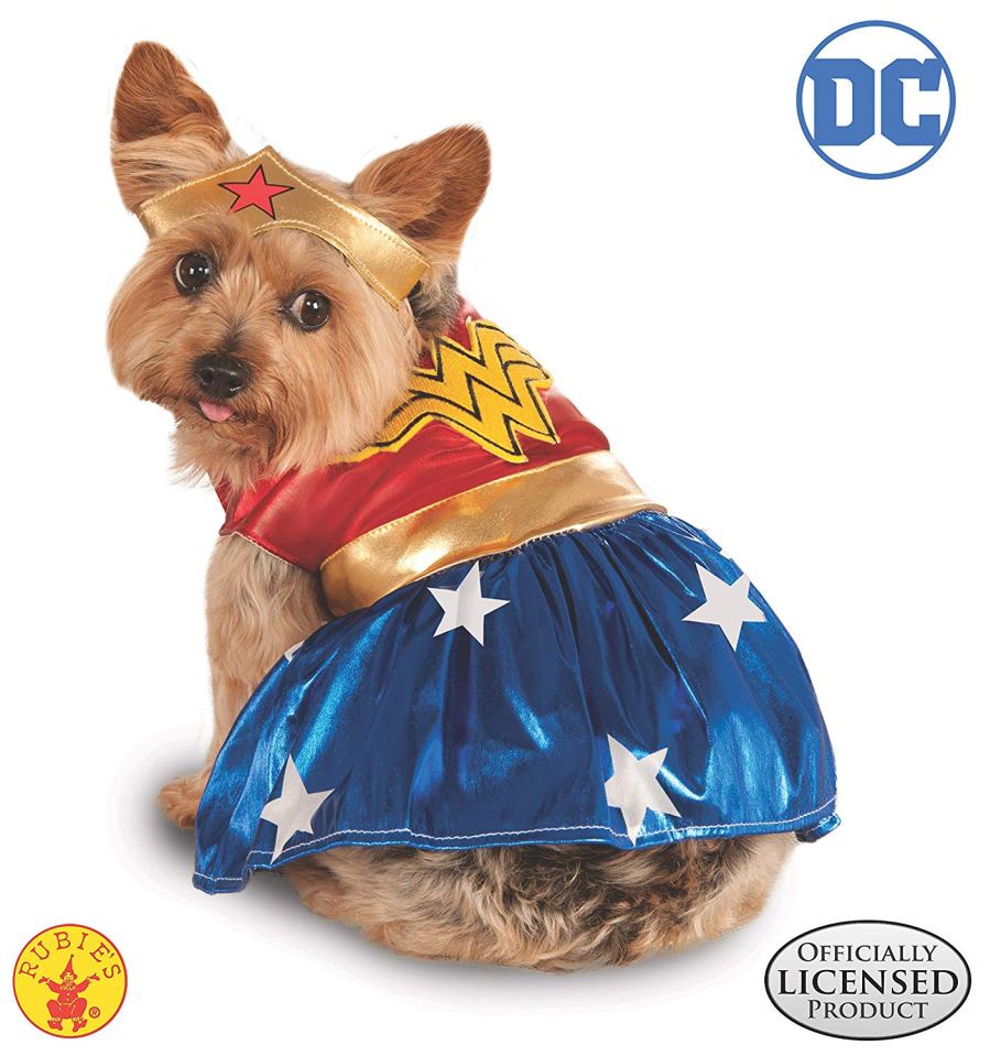  Your pet can dress up as everyone's favourite superheroine this Halloween