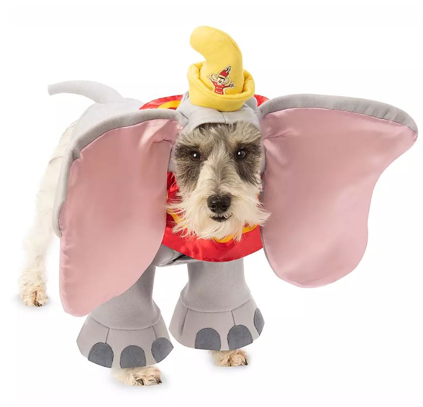  Hopefully the ears on this Dumbo costume don't scare your pet on Halloween