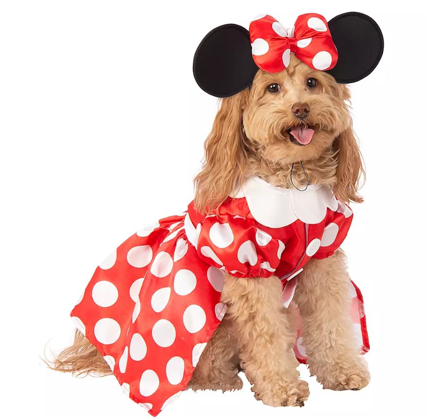  Disney couldn't do Halloween costumes for your pets without making a Minnie Mouse one