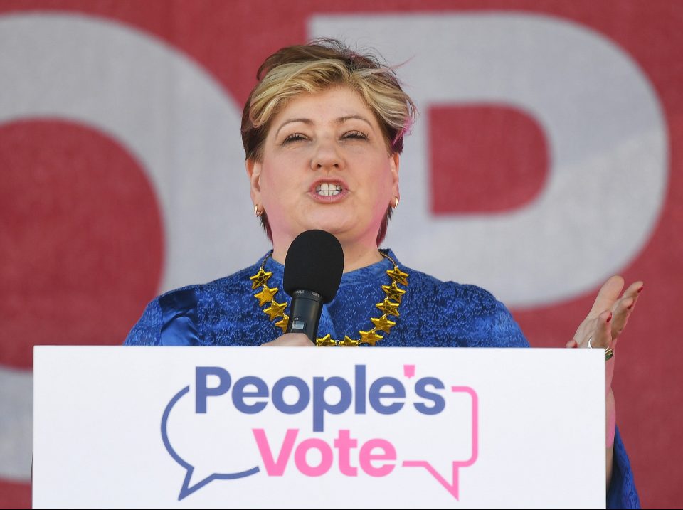  Emily Thornberry warned that if Labour is always sitting on the fence, they will be hammered in an election