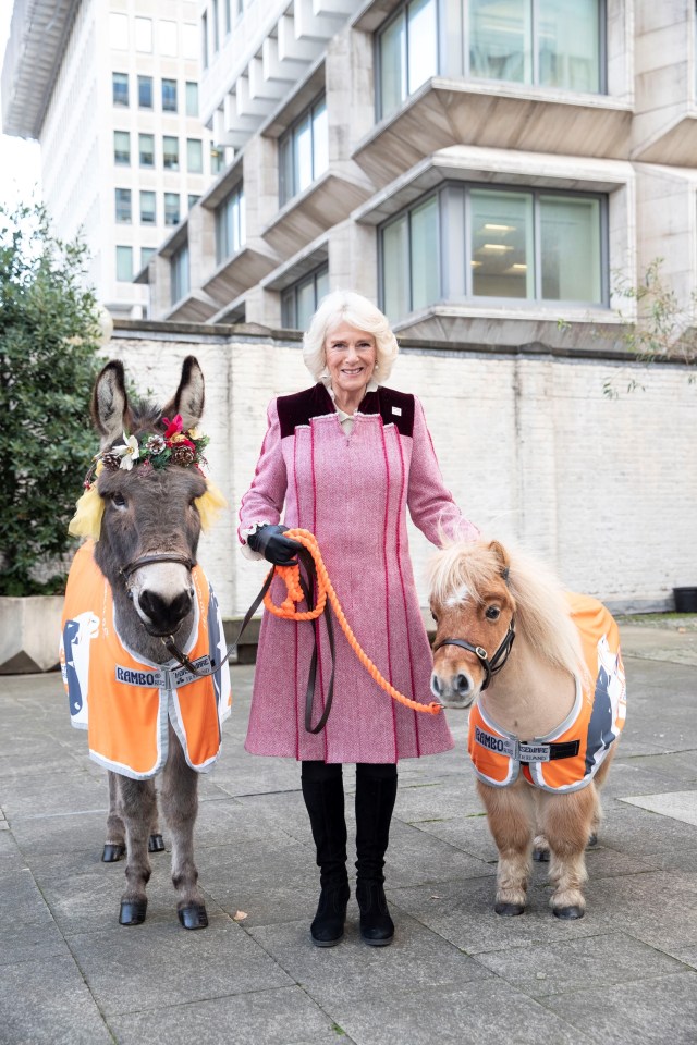 Camilla with a donkey and a Shetland pony