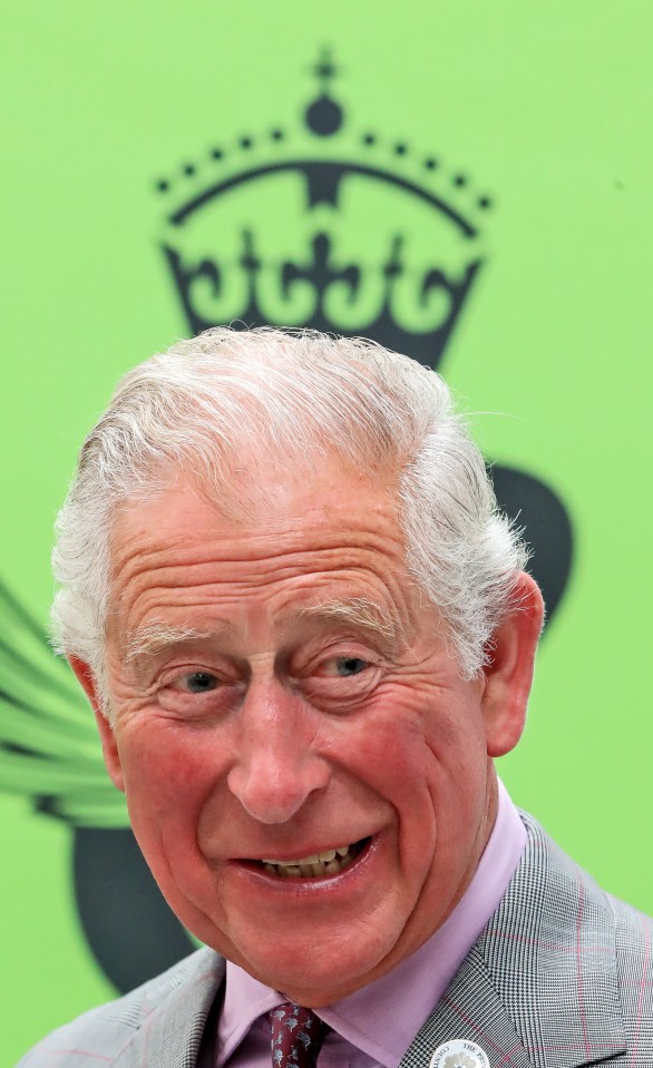 Prince Charles with a crown above his head