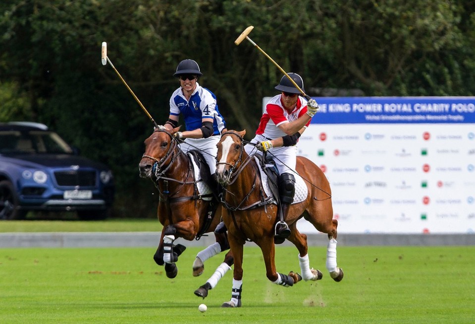 The Duke of Cambridge and the Duke of Sussex at the polo