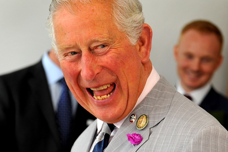 Prince Charles visits L3Harris London Training Centre in Crawley