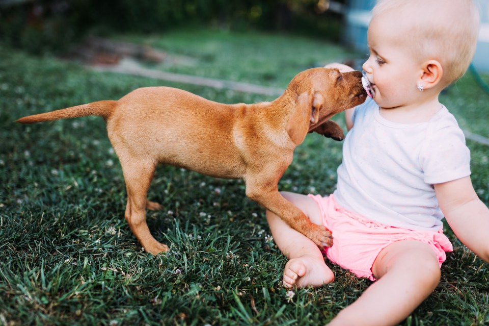 The mum-to-be is demanding her sister change her dog’s name