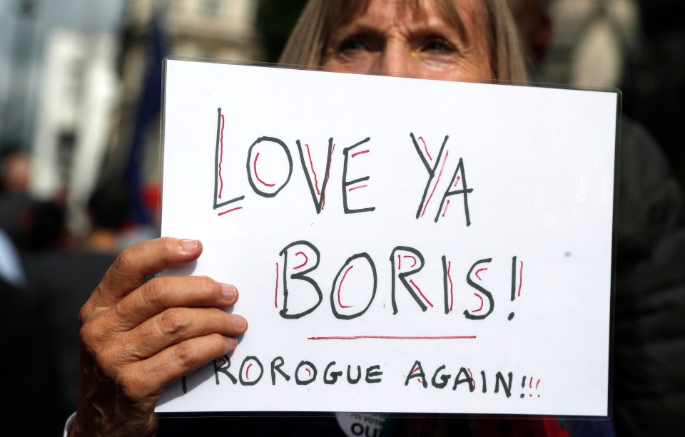  Protesters outside Parliament back Boris' decisions