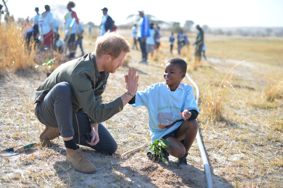 Prince Harry high-fives a young boy as he tours the Chobe Tree Reserve in Botswana today