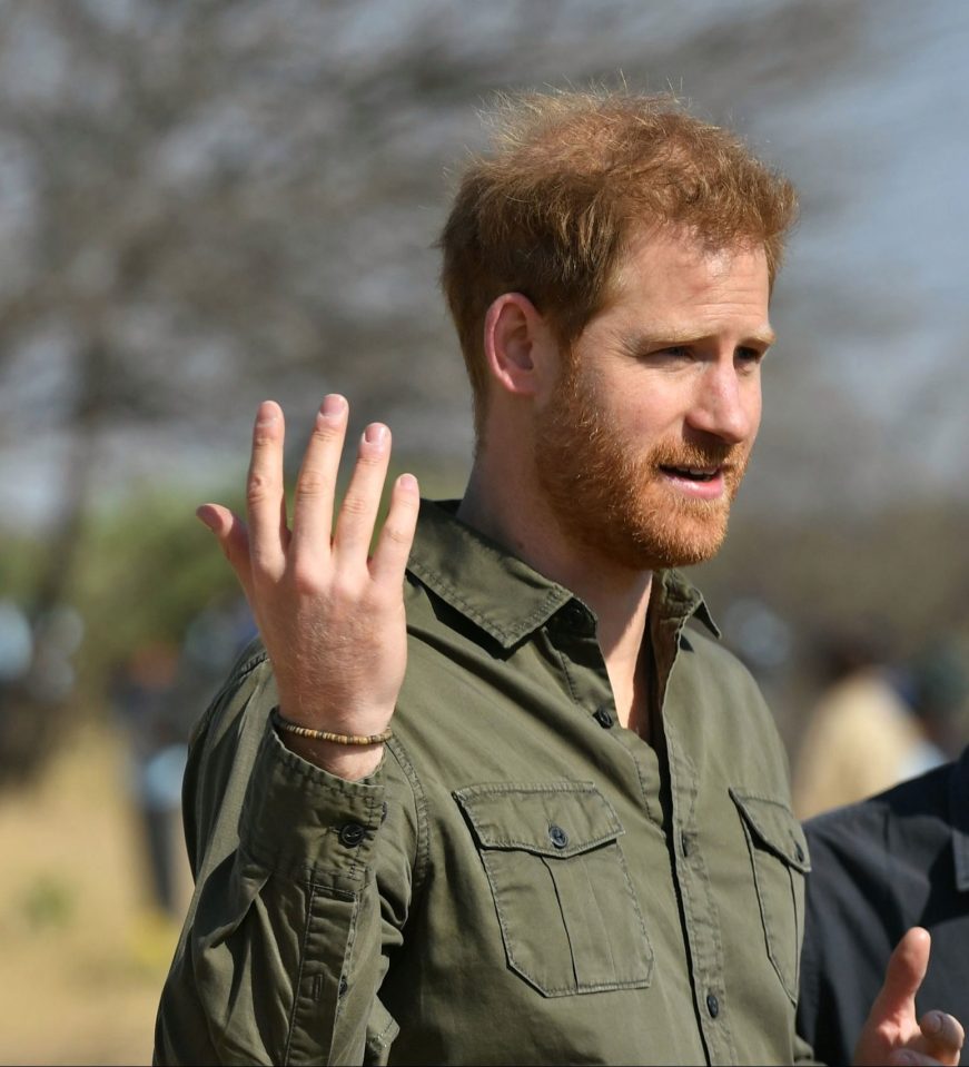 Prince Harry said climate change science was 'undeniable'