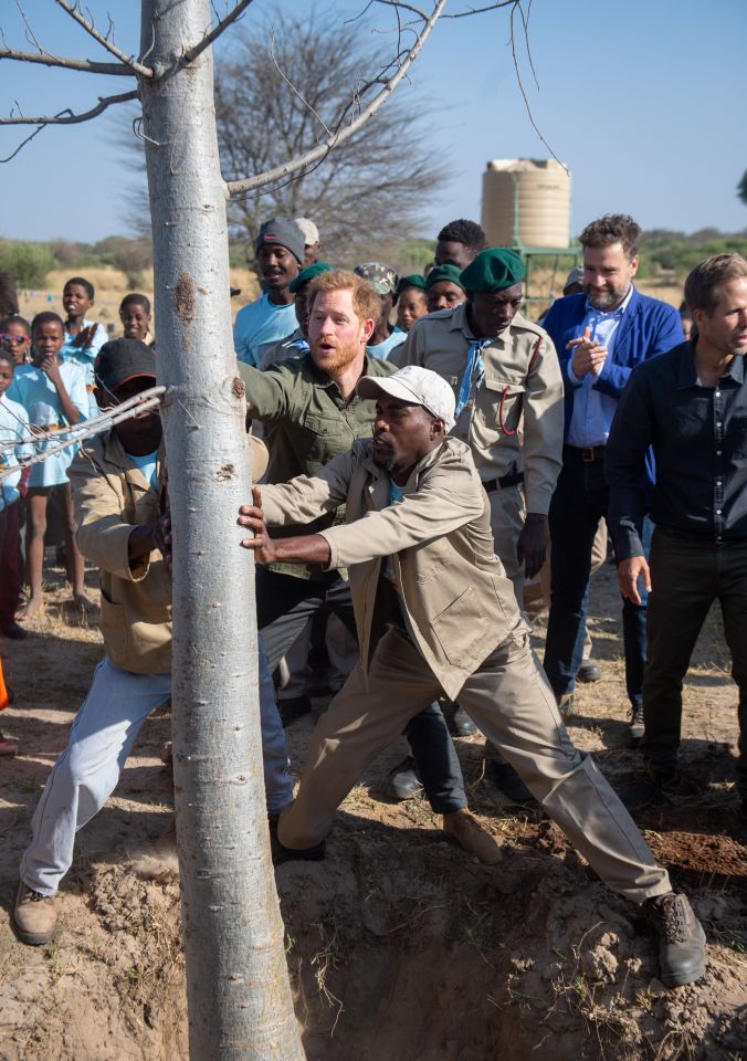 Prince Harry appeared in good spirits as he spoke about the importance of the environment