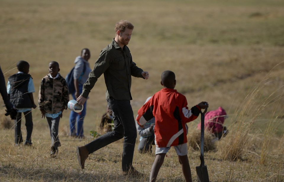 Prince Harry lends a helping hand to a youngster as they plant trees