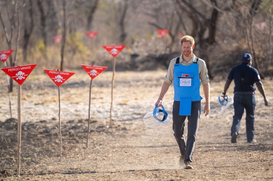 Prince Harry followed in his mum's footsteps in 2019