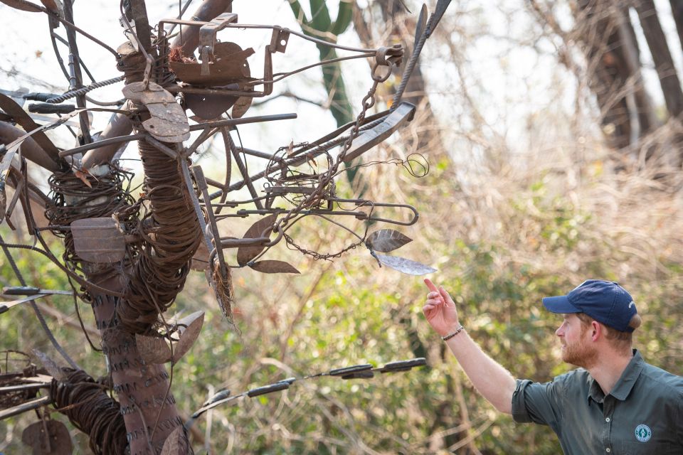  Harry admires the tree sculpture