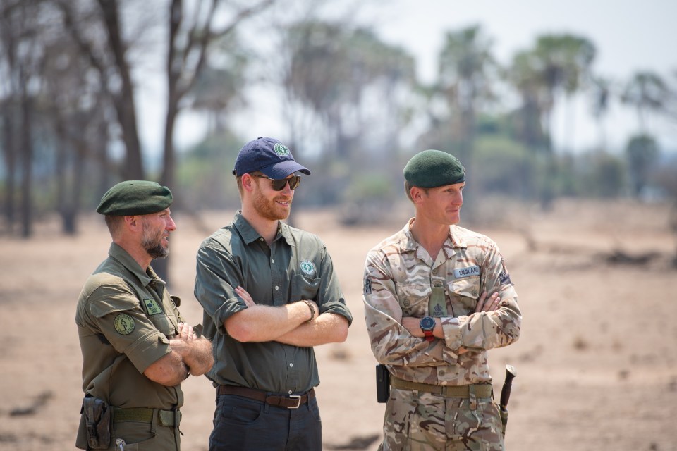  Prince Harry looked on as Brit forces and local rangers engaged in an anti poaching exercise