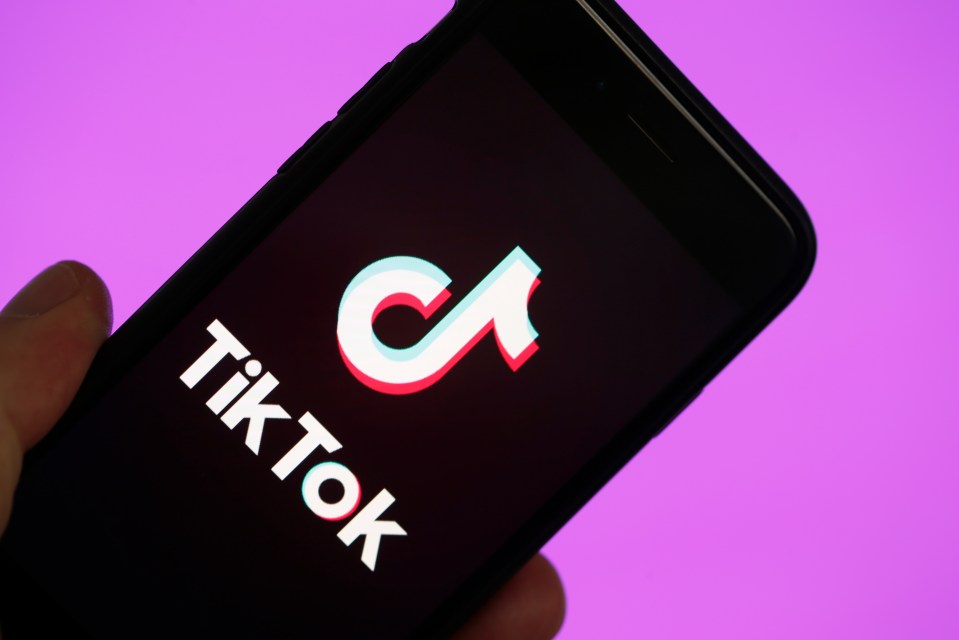  TikTok is the world's most downloaded app, with 800 million using it globally - but most of them are children