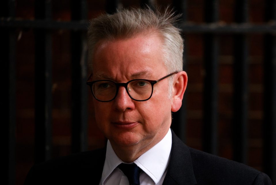  Michael Gove was fired by Boris Johnson during the resignation onslaught