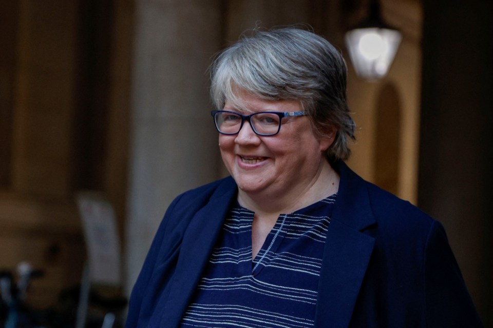  Thérèse Coffey resigned as Rishi Sunak's environment secretary in November 2023