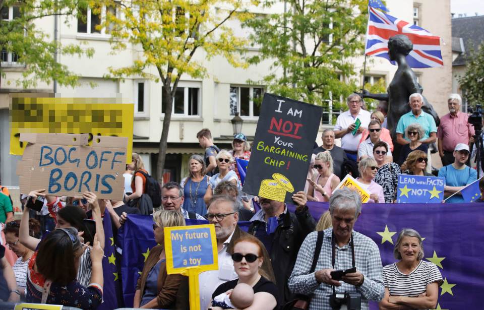 A crowd of Remainer protesters gathered outside the railings and bombarded the British PM with boos