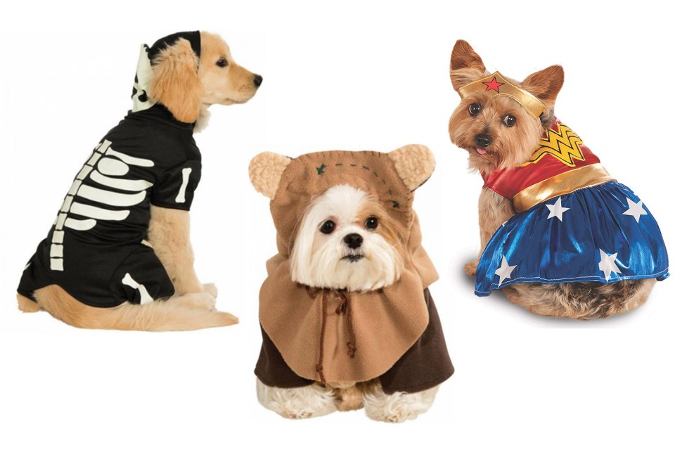  Let your pet join in the fancy dress fun in these cute and spooky Halloween costumes