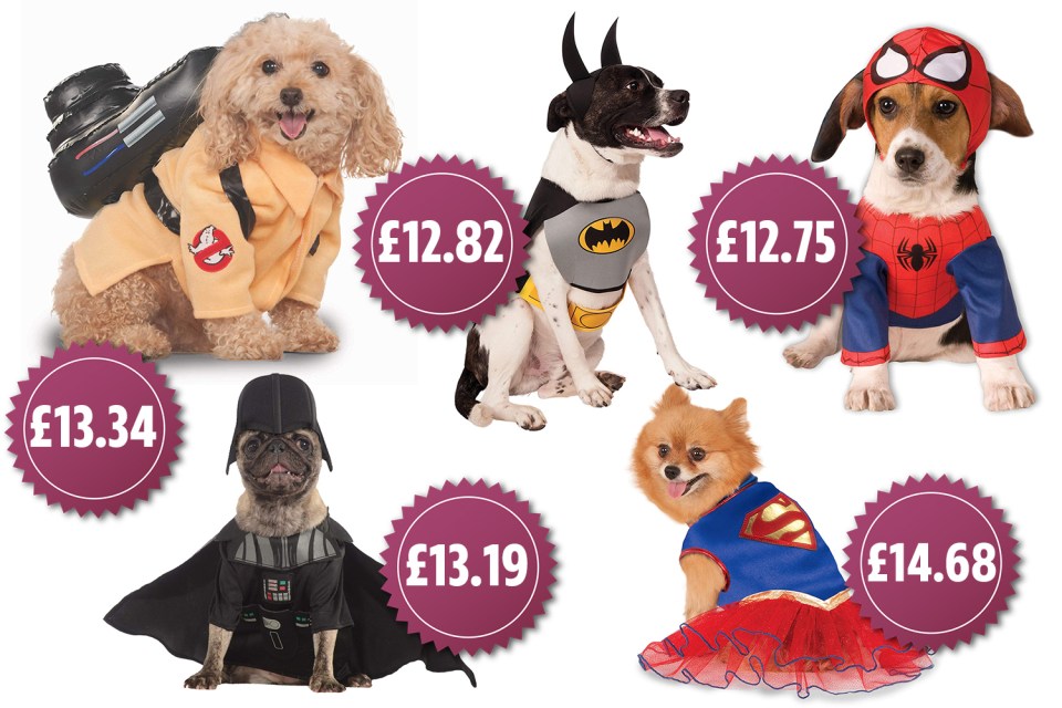  Get your pet ready for Halloween thanks to Amazon's sale