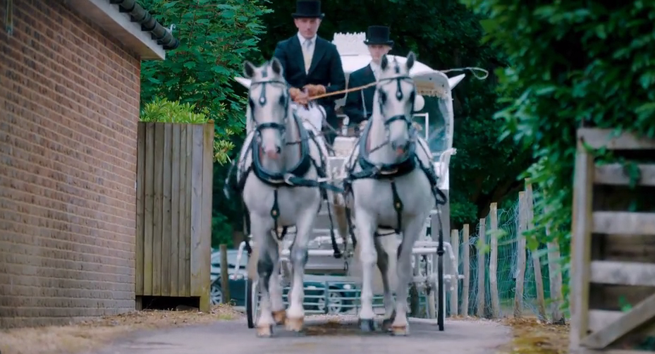 They are in a Cinderella-style horse-drawn carriage