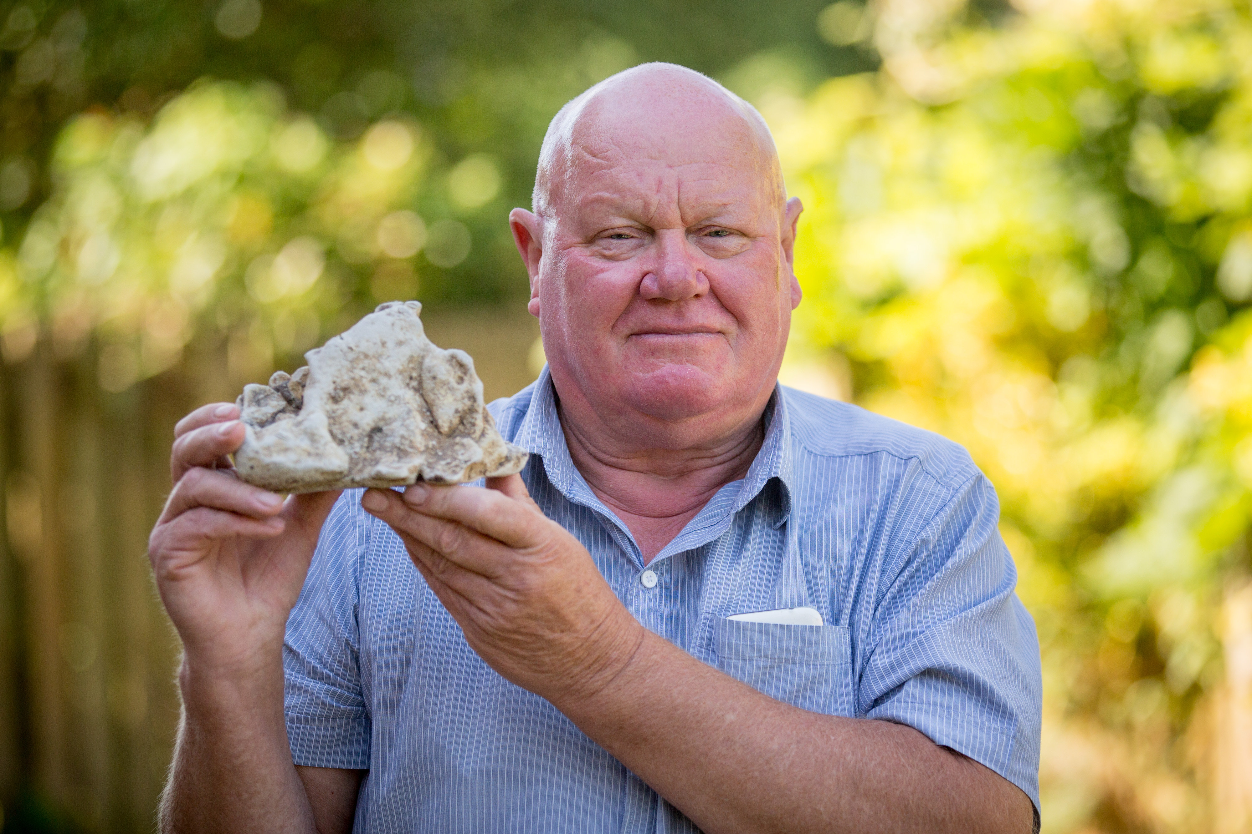 Alan Derrick found whale vomit on a beach in Somerset in 2016