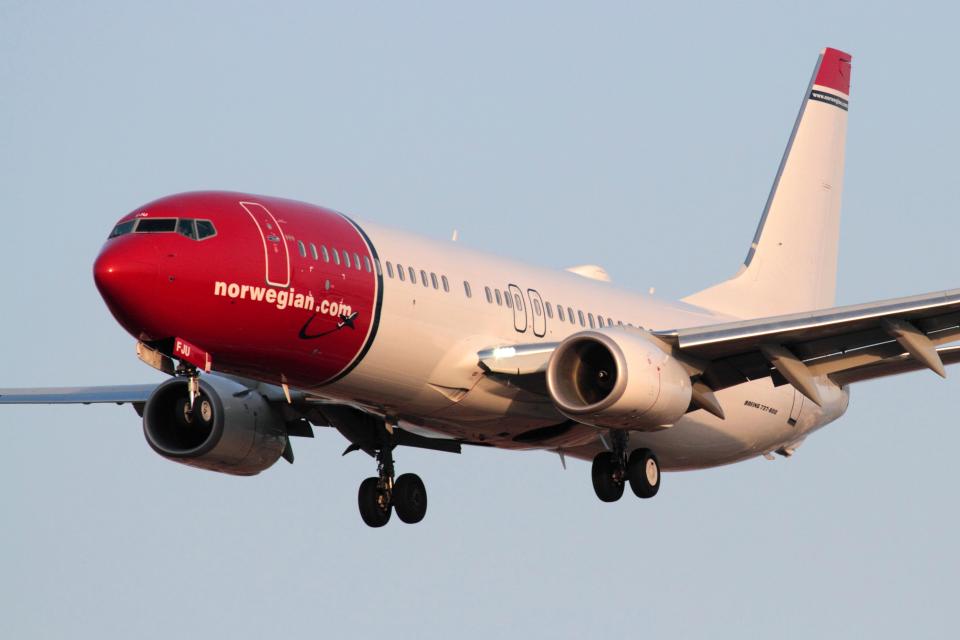  Passengers carrying 'emotional support dogs' were kicked off a Norwegian Airlines flight after the pups started barking at other passengers