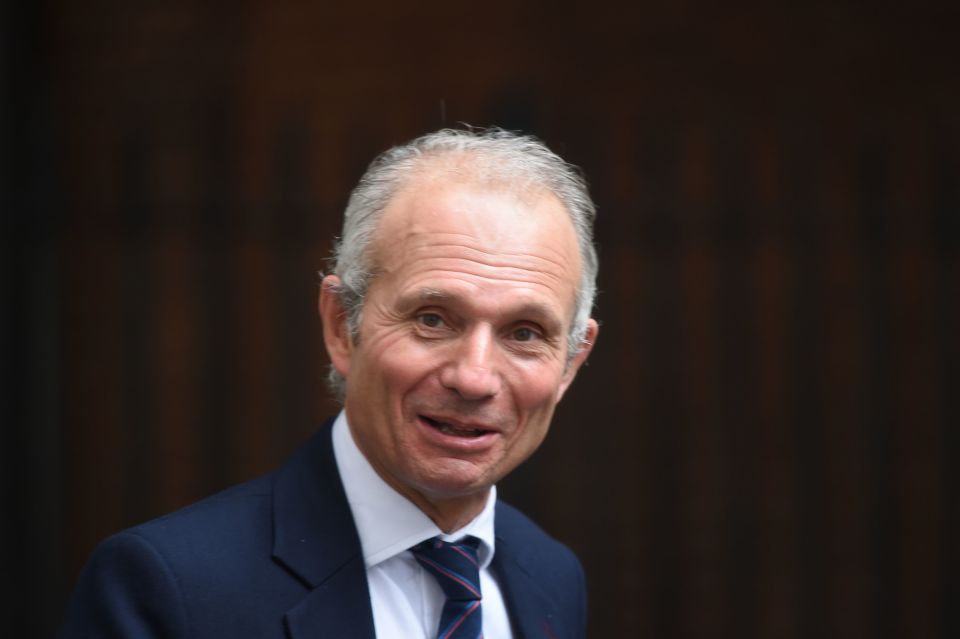  David Lidington said his 'gut instinct would be to give it another go'