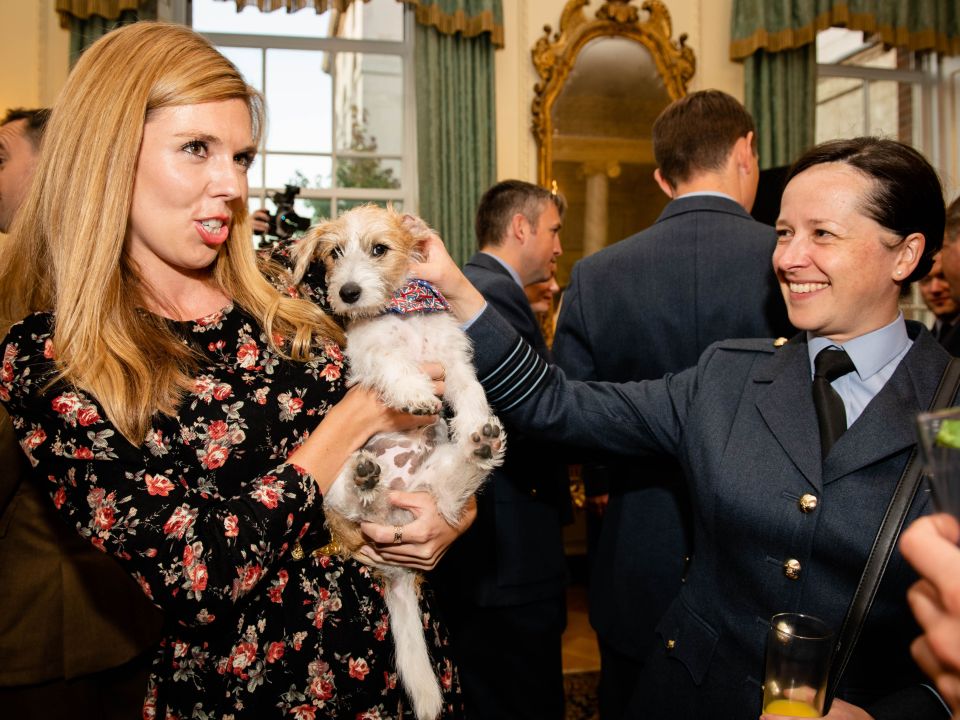  Boris Johnson's girlfriend Carrie Symonds carries Jack Russel pup Dilyn