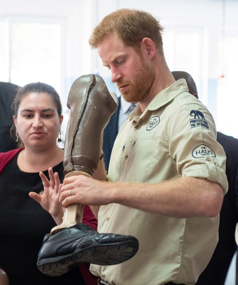 Prince Harry opened up about how important it was to carry on Princess Diana’s work