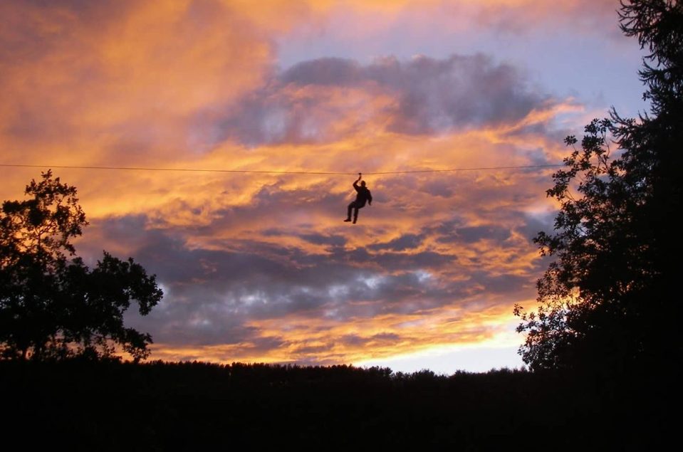  Fly across the forest's canopy on a terrifyingly tiny wire