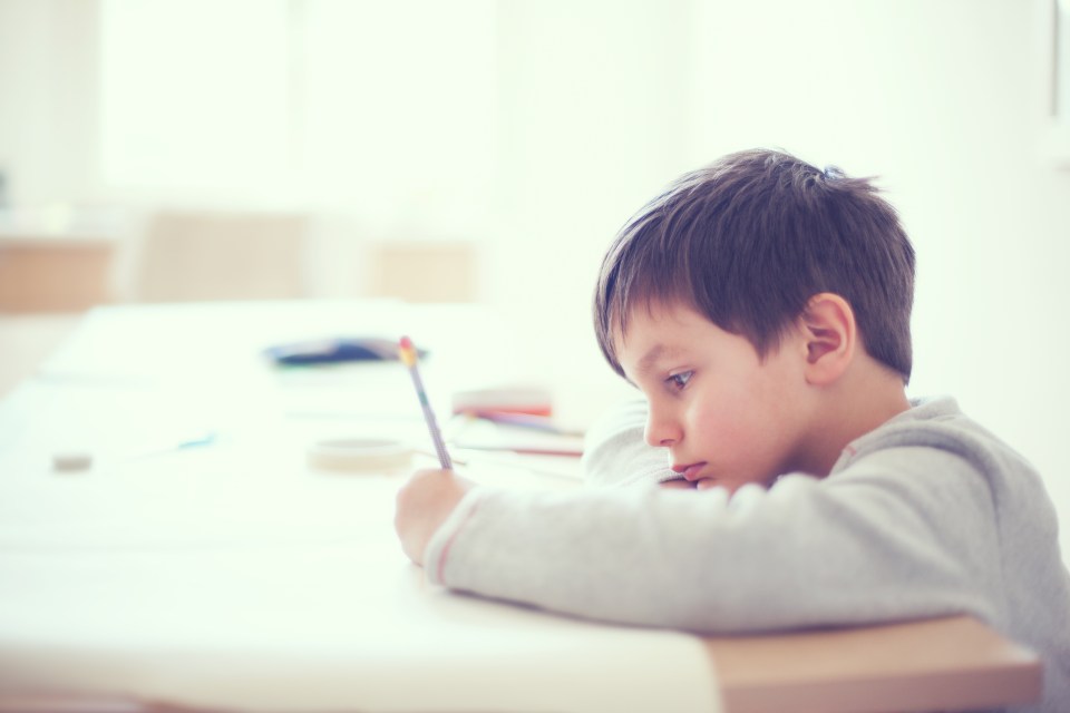  The schoolboy hopes the letter will be shared with the class