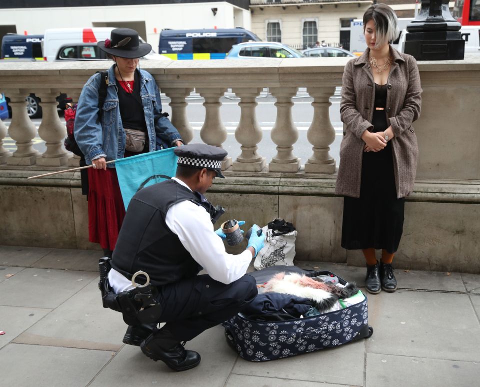  Police search activists' bags in Westminster