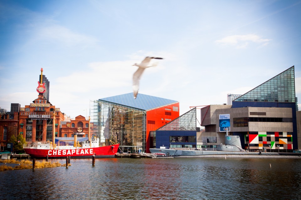  Baltimore Harbour has plenty of places to eat and shop