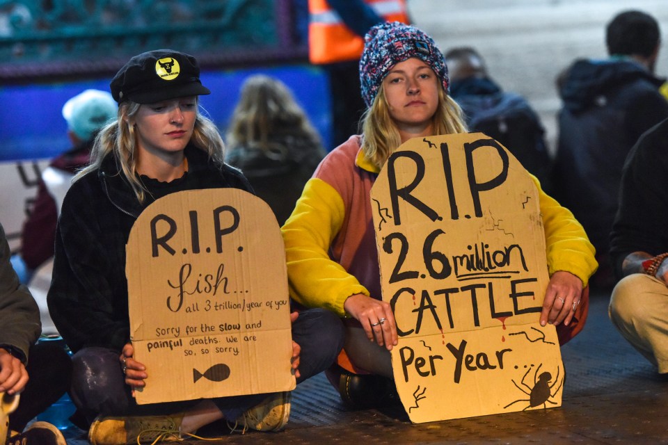  Protesters camped overnight inside Smithfield Market