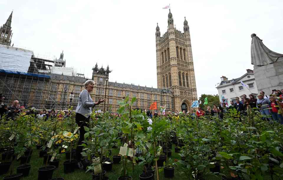  Labour Party MP Kate Green gestures to the crowd as they placed potted trees outside the Houses of Parliament