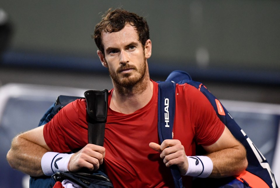 Murray finally fell 7-6 2-6 7-6 after more than three hours of battling on court and was left "disappointed"