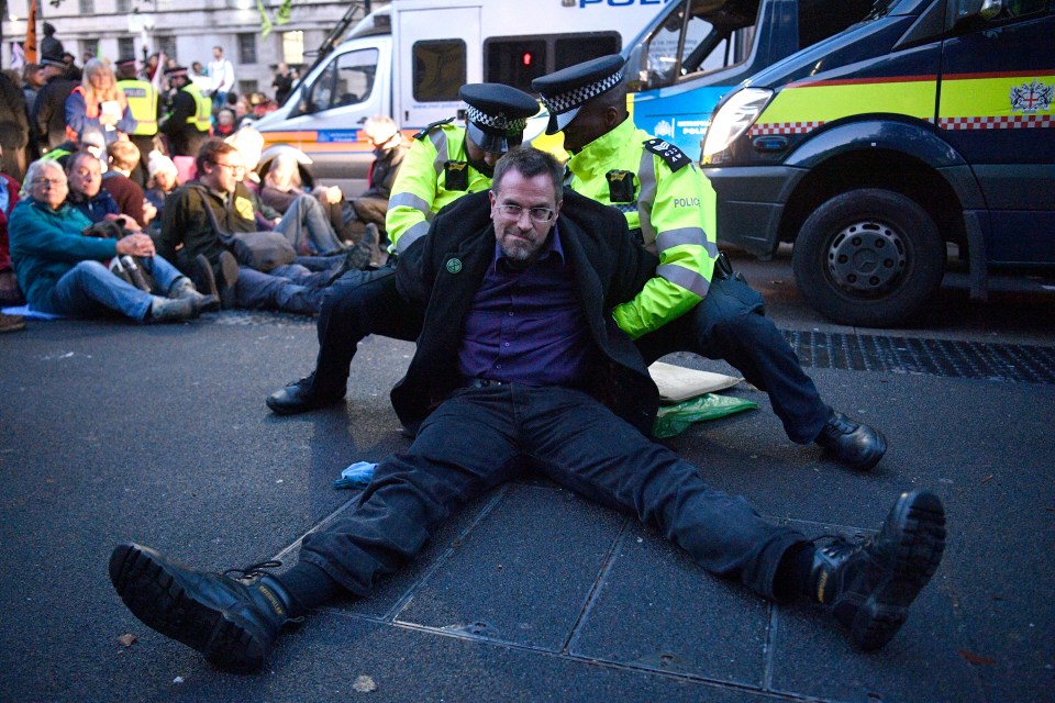  This protester gets arrested in Whitehall during the second day of demonstrations