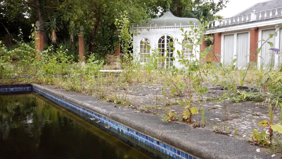  Weeds creep up through the pavement cracks, lining the stagnant water that fills the pool