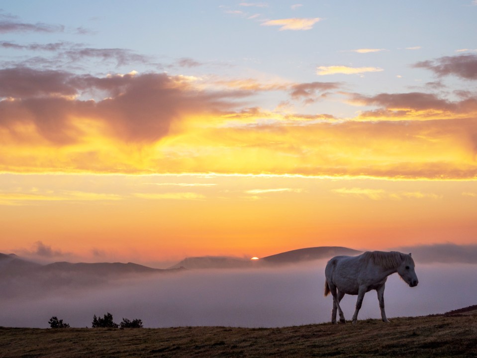  The moon was also seen above Long Mynd heath in Shropshire