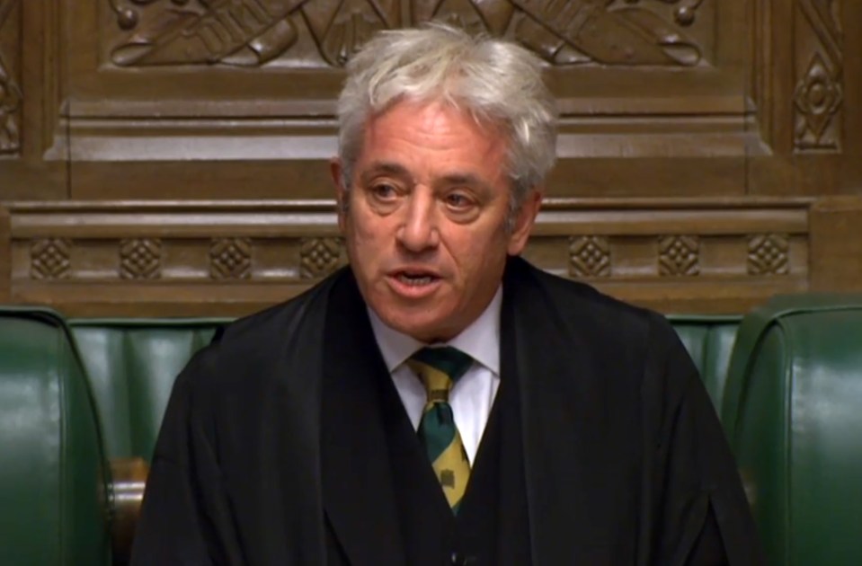  Order: Speaker John Bercow can select as many amendments as he wants for MPs to debate prior to the vote