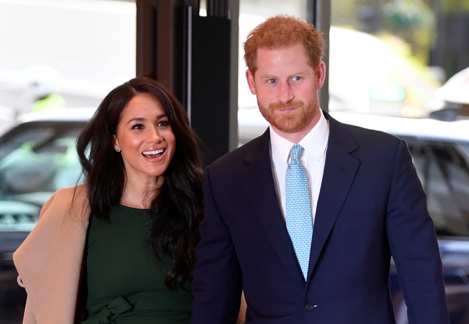  A royal expert has suggested Harry and Meghan could give up their royal titles