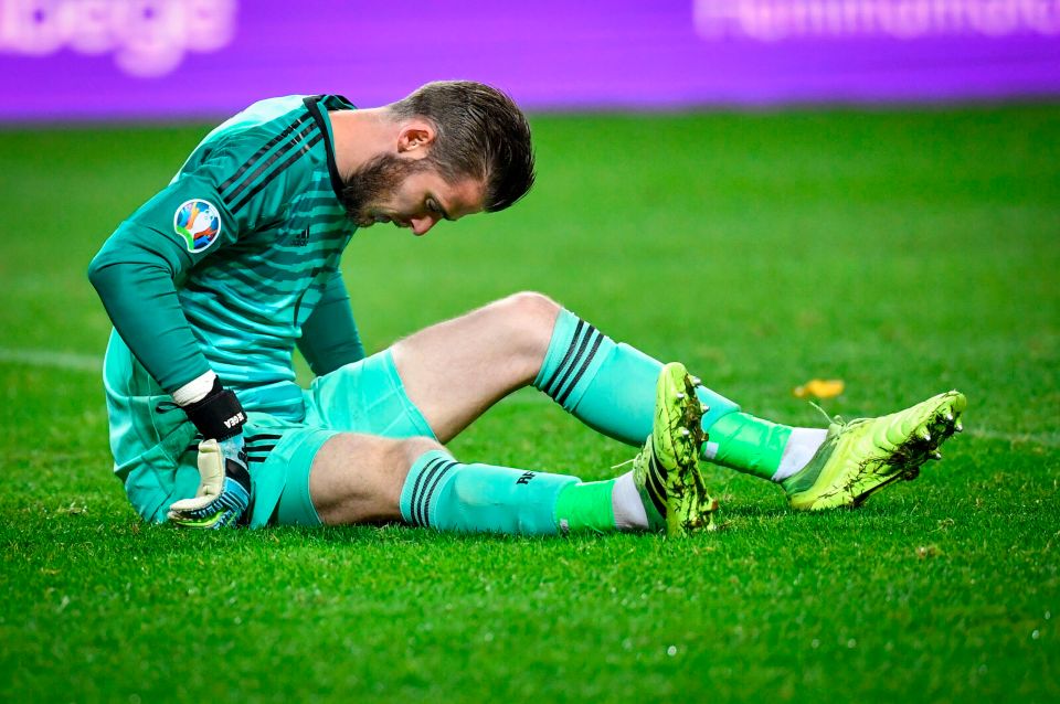  David De Gea slumped to the ground immediately after appearing to pull a muscle during Spain's game in Sweden