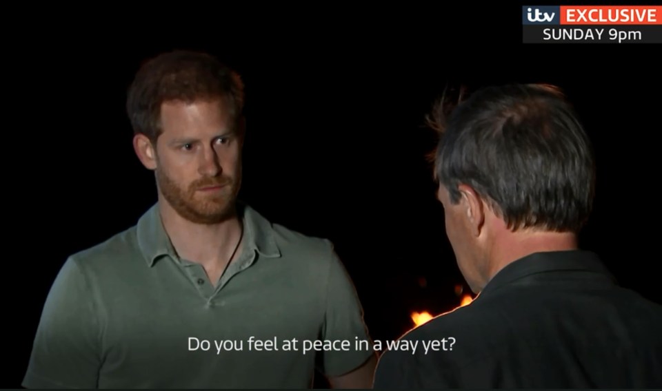 Prince Harry said the loss of Diana is still a ‘wound that festers’