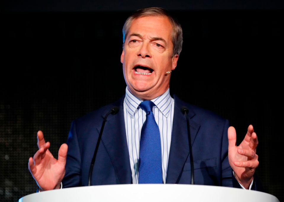 Tory MPs goaded Nigel Farage to stand candidates against them in all key target seats to help them win the December general election