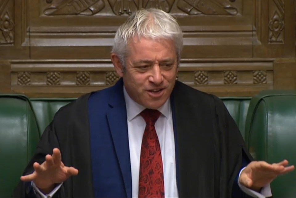  Remainer Speaker John Bercow chose the Letwin amendment to be voted on