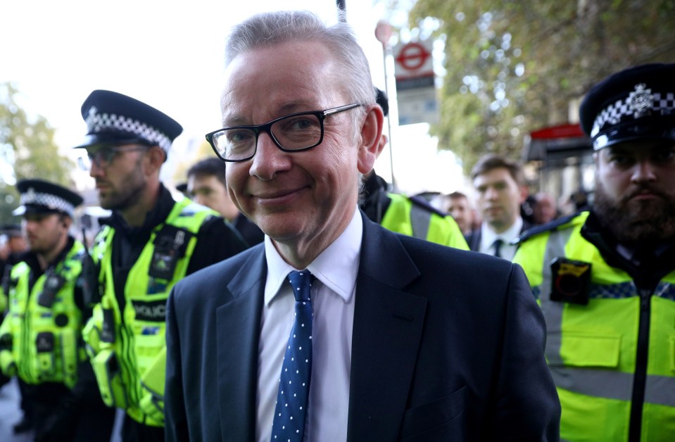  Michael Gove has said Britain will still leave on October 31