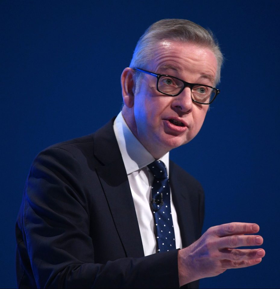 Michael Gove has said he could guarantee Britain will leave the EU on October 31